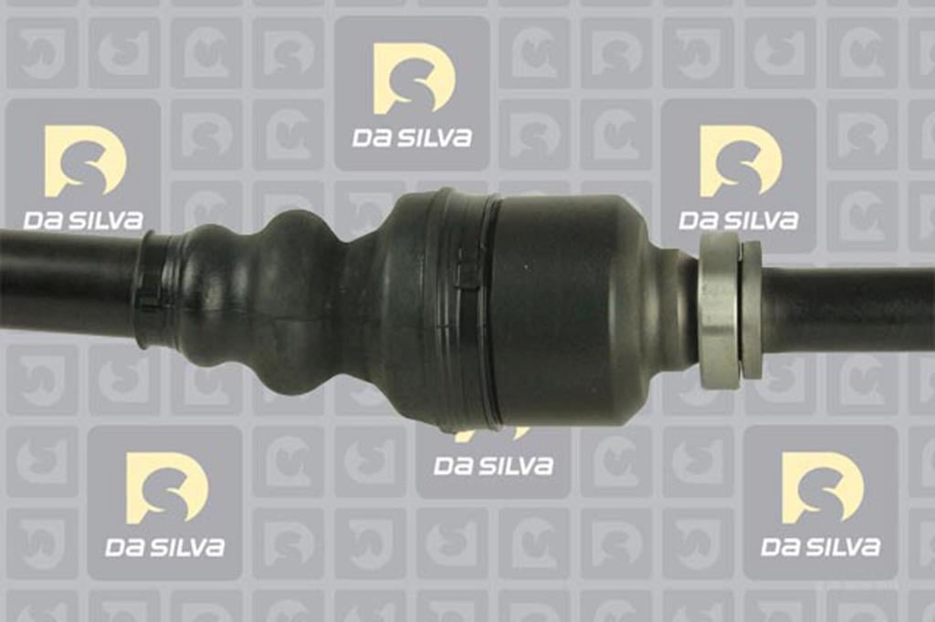 Cardã DA SILVA S.A.S. 3532AT