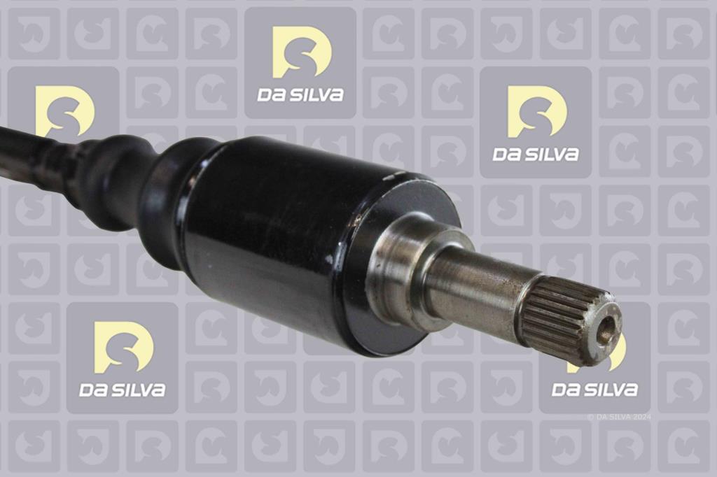 Cardã DA SILVA S.A.S. 353BT