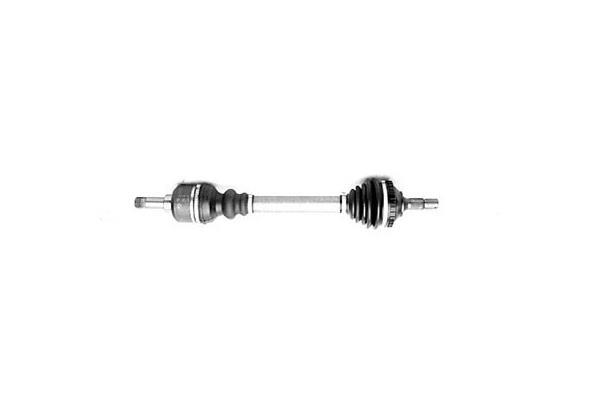 Butée hydraulique Coupé