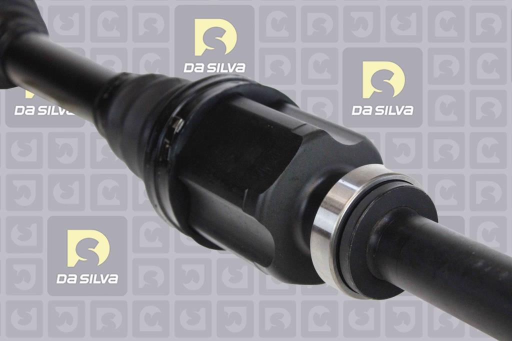 Cardã DA SILVA S.A.S. 3732T