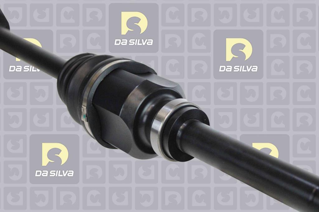 Cardã DA SILVA S.A.S. 3744T