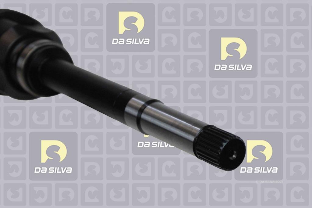 Cardã DA SILVA S.A.S. 3744T
