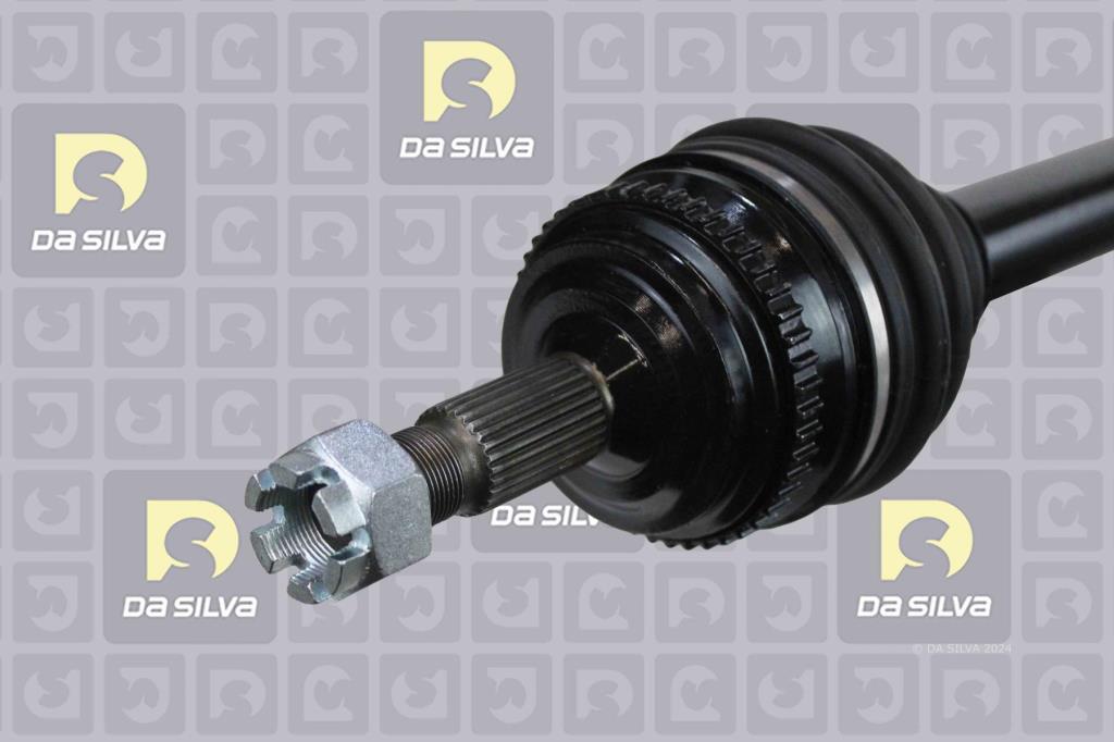 Cardan DA SILVA S.A.S. 3816AT