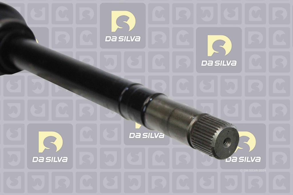 Cardan DA SILVA S.A.S. 3816AT