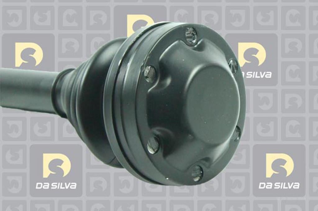 Cardã DA SILVA S.A.S. 4187T