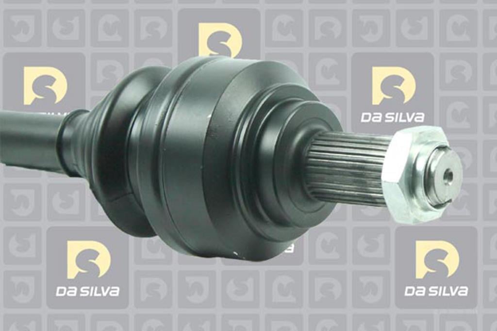 Cardã DA SILVA S.A.S. 4187T