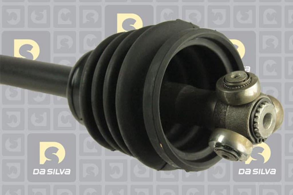 Cardã DA SILVA S.A.S. 42108TBIS