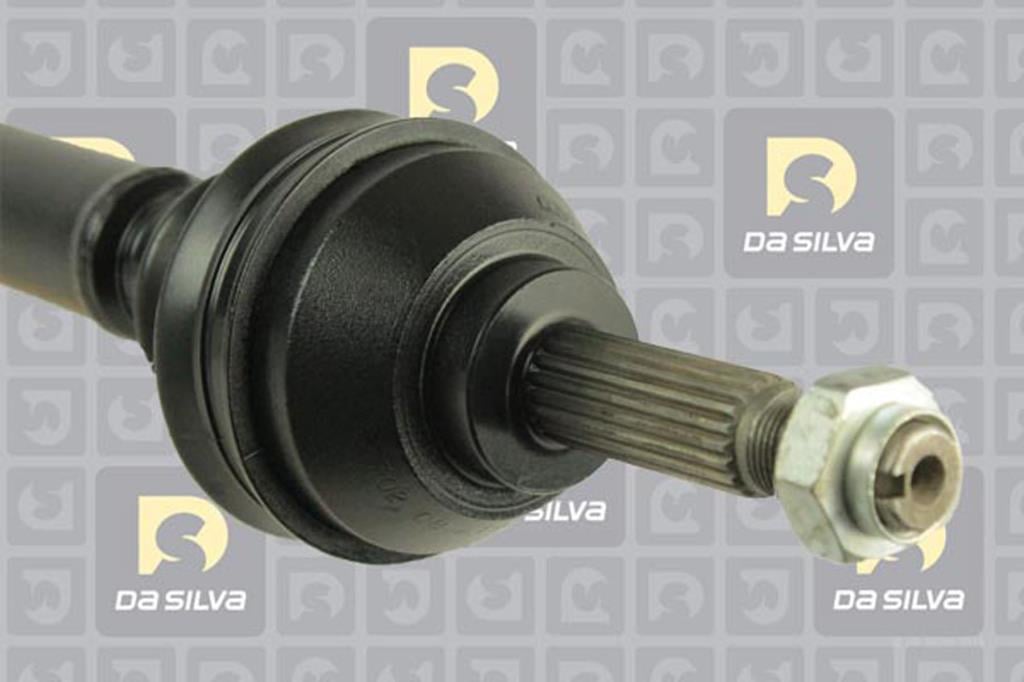 Cardã DA SILVA S.A.S. 42108TBIS