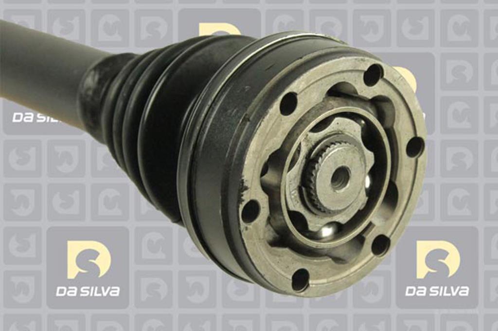 Cardã DA SILVA S.A.S. 42108TBIS