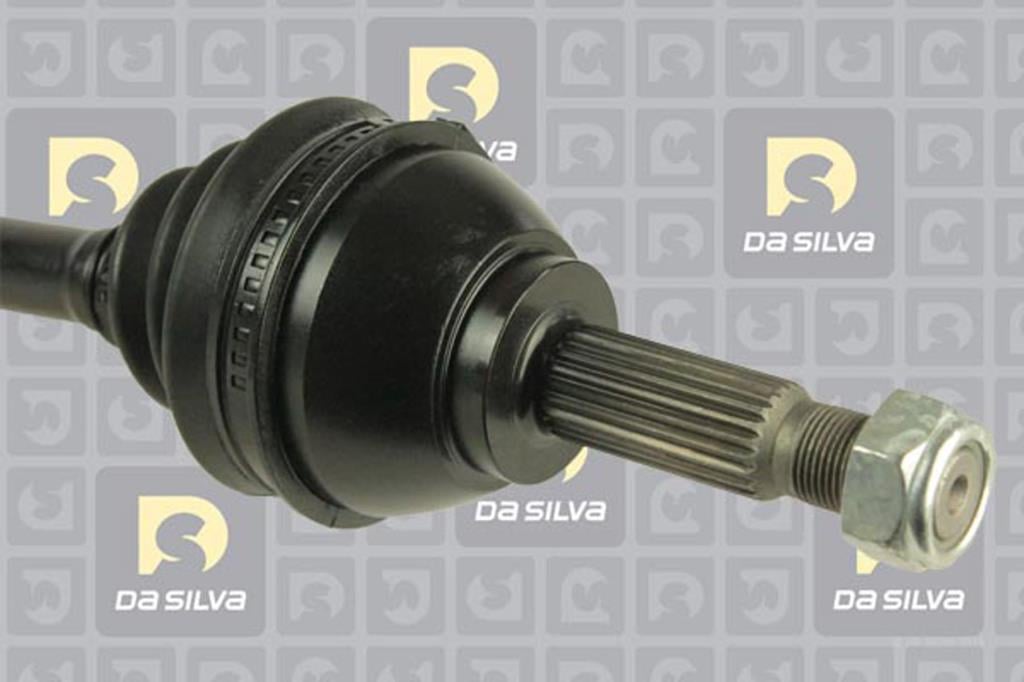 Cardã DA SILVA S.A.S. 42108TBIS