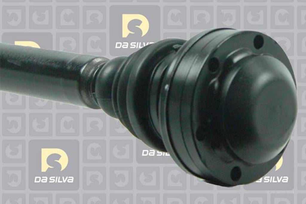 Cardã DA SILVA S.A.S. 42124T