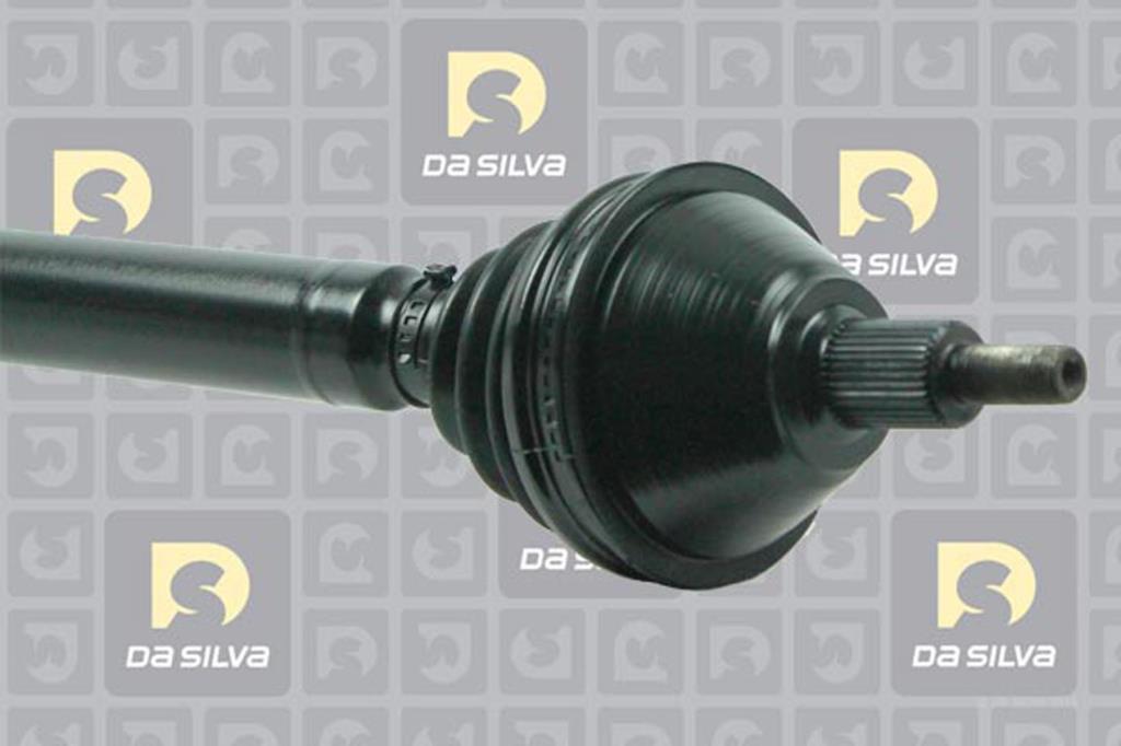 Cardã DA SILVA S.A.S. 42124T