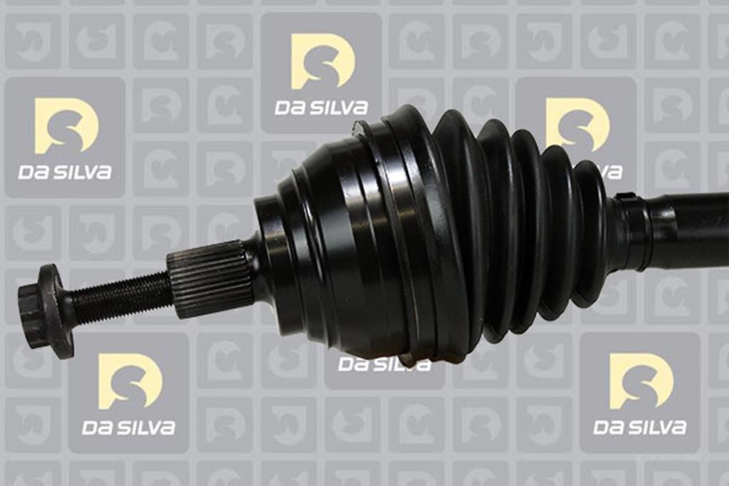 Cardan DA SILVA S.A.S. 42148T