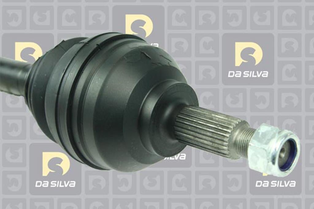 Cardã DA SILVA S.A.S. 4312T