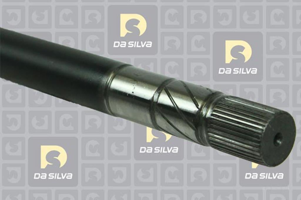 Cardã DA SILVA S.A.S. 4312T