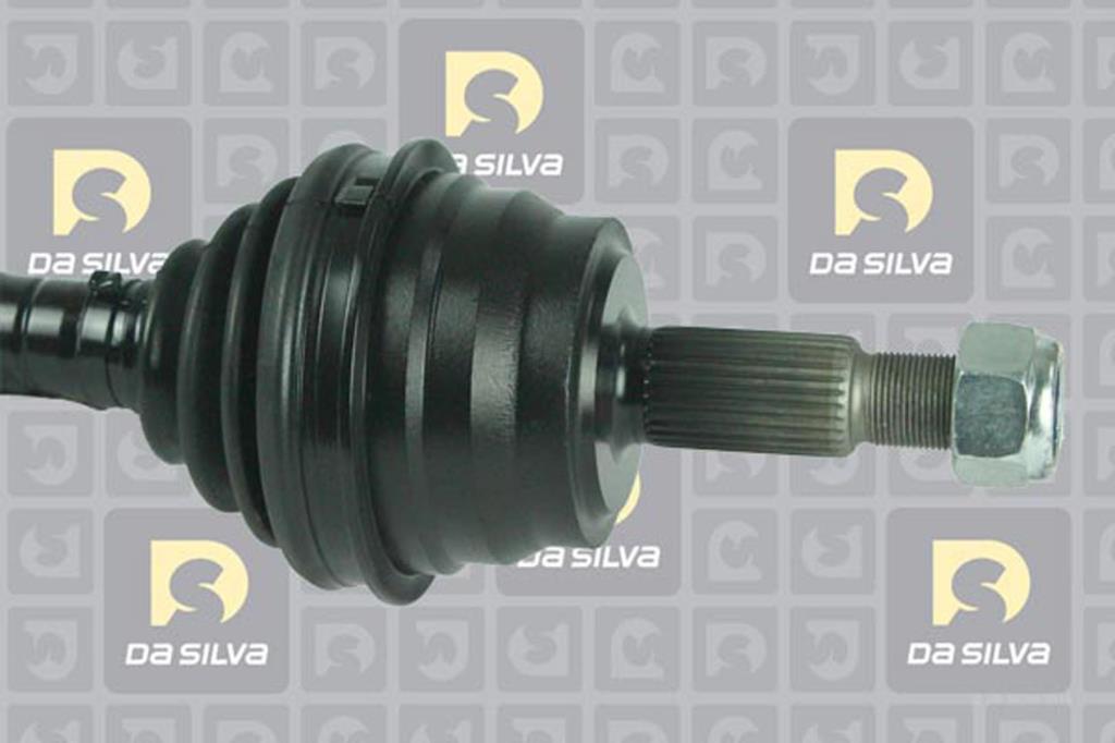 Cardã DA SILVA S.A.S. 4318T