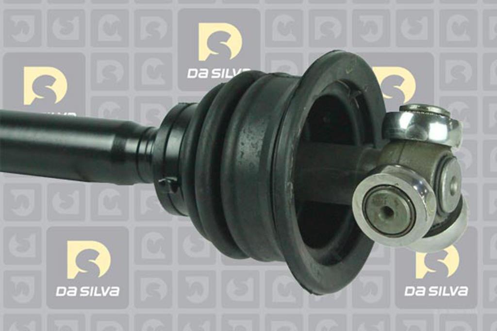 Cardã DA SILVA S.A.S. 4318T
