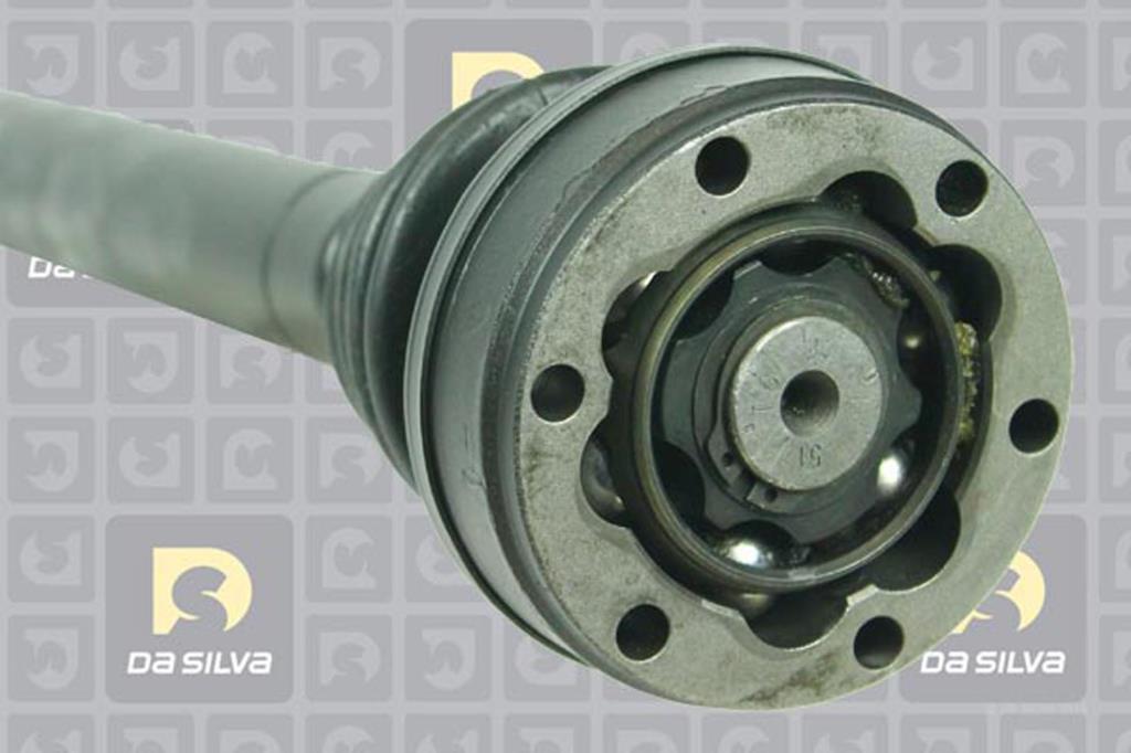 Cardã DA SILVA S.A.S. 438AT