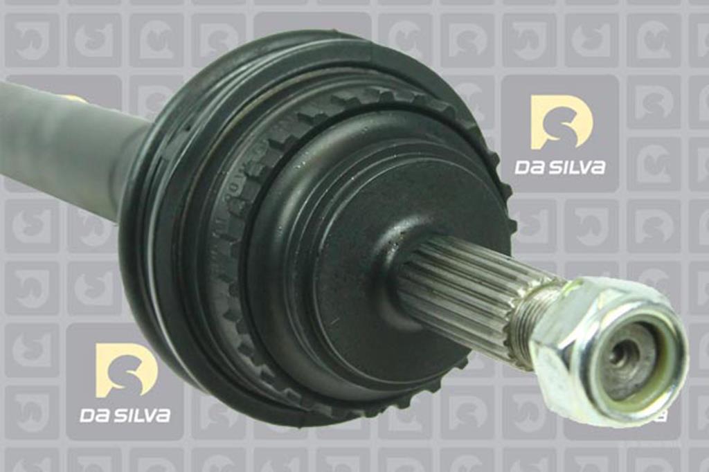 Cardã DA SILVA S.A.S. 438AT