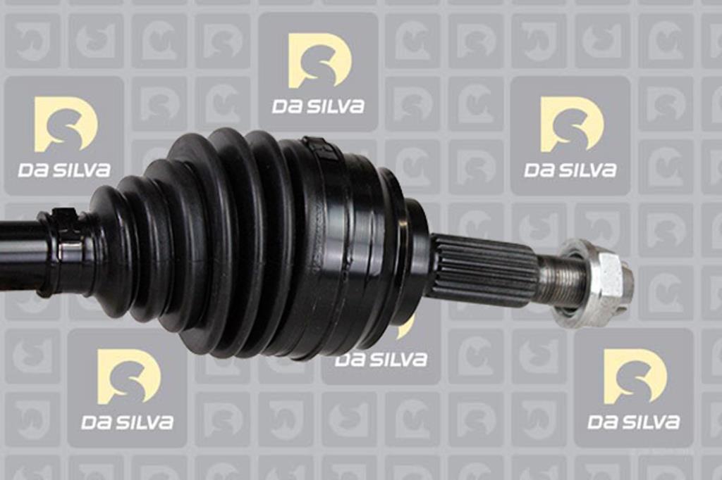 Cardã DA SILVA S.A.S. 4396T