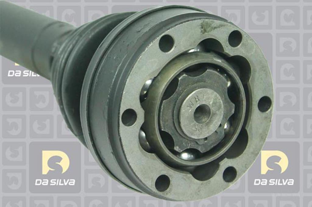 Cardã DA SILVA S.A.S. 439T