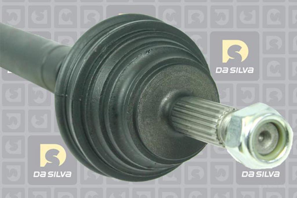 Cardã DA SILVA S.A.S. 439T