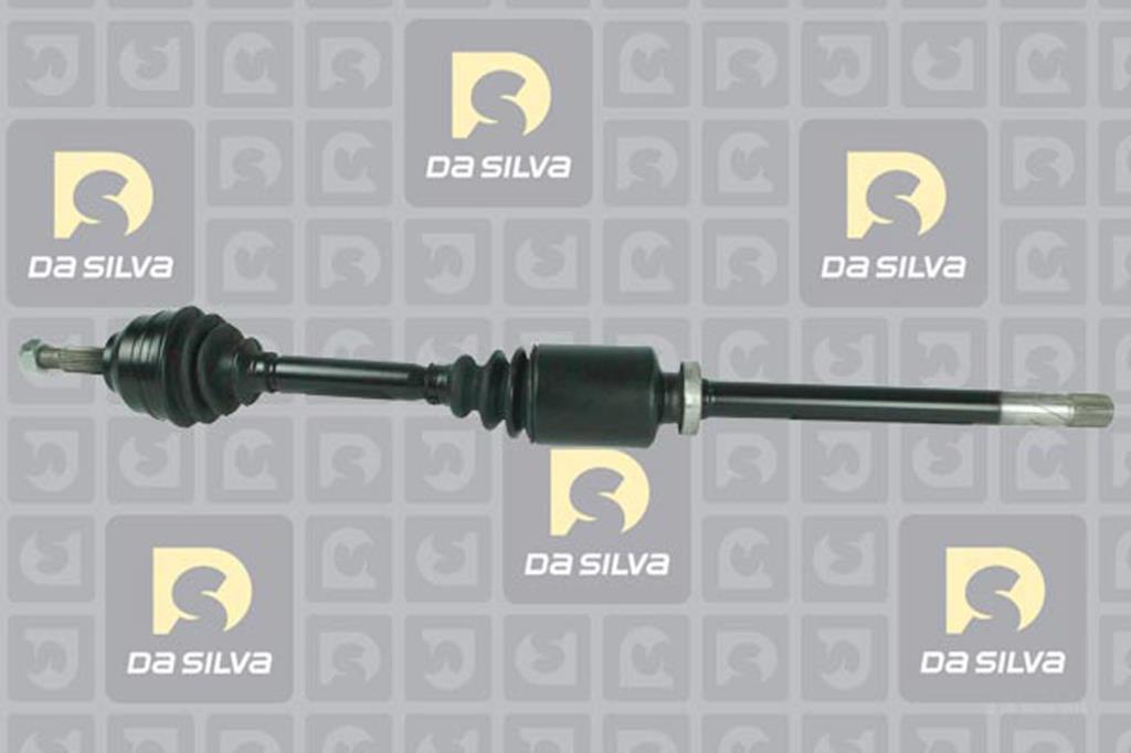Cardã DA SILVA S.A.S. 4418T