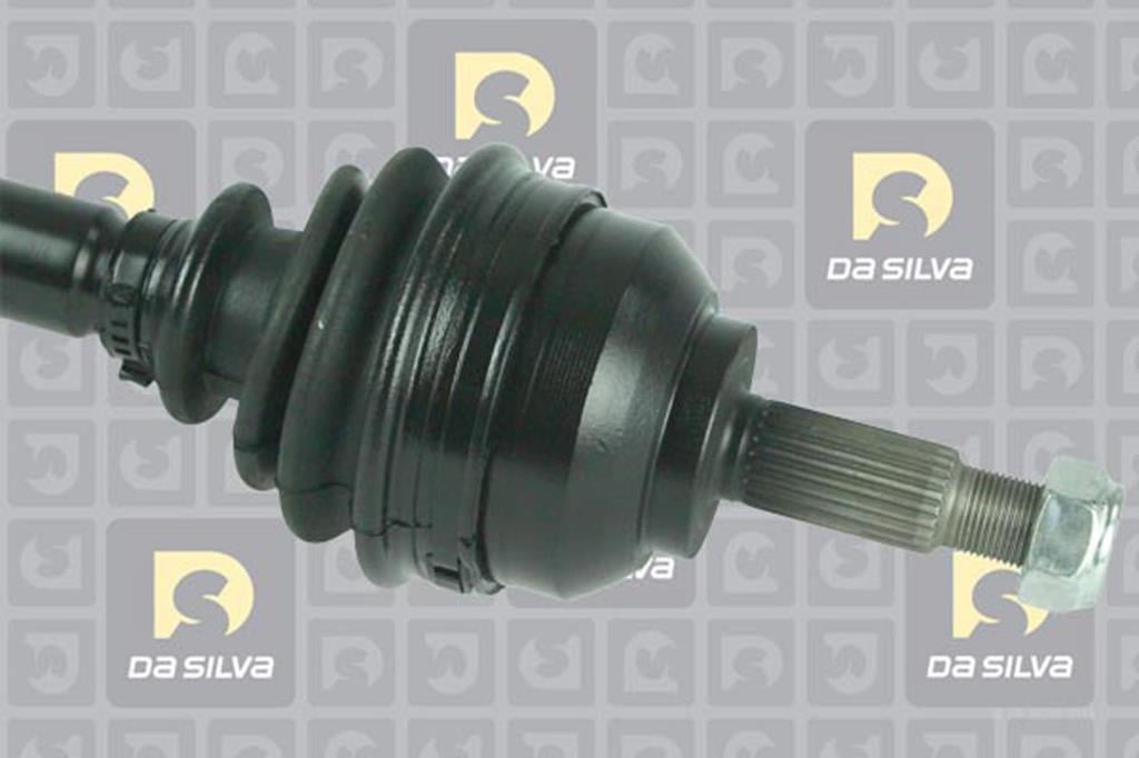 Cardã DA SILVA S.A.S. 4418T