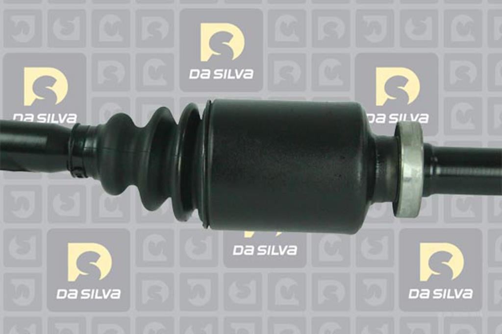 Cardã DA SILVA S.A.S. 4418T