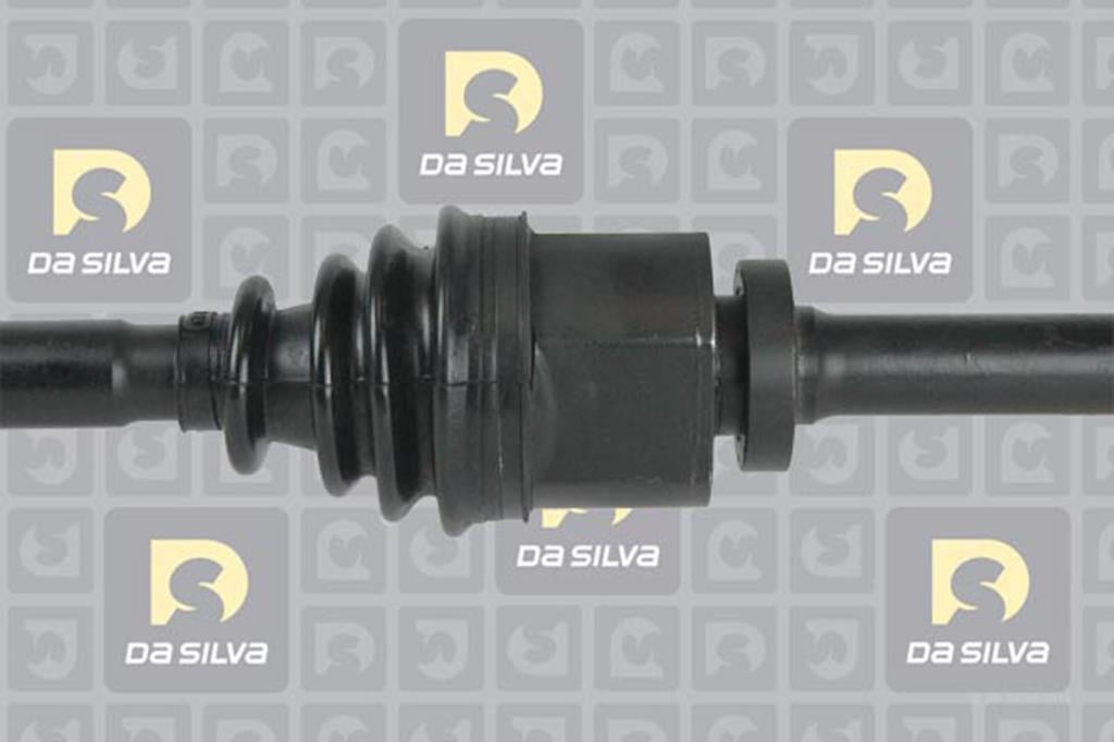 Cardã DA SILVA S.A.S. 4454AT