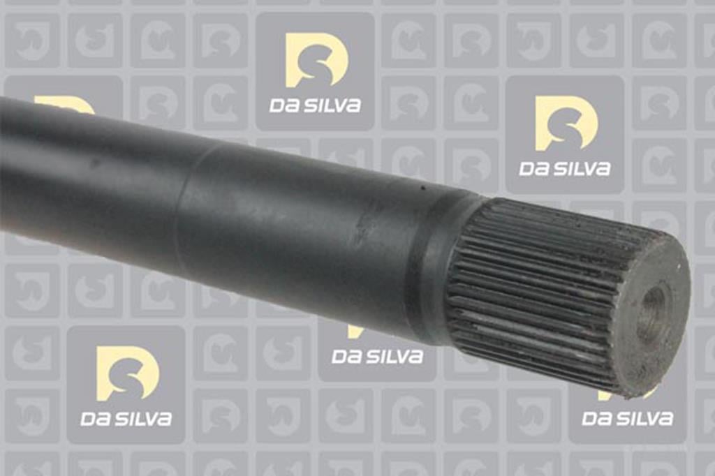 Cardã DA SILVA S.A.S. 4454AT