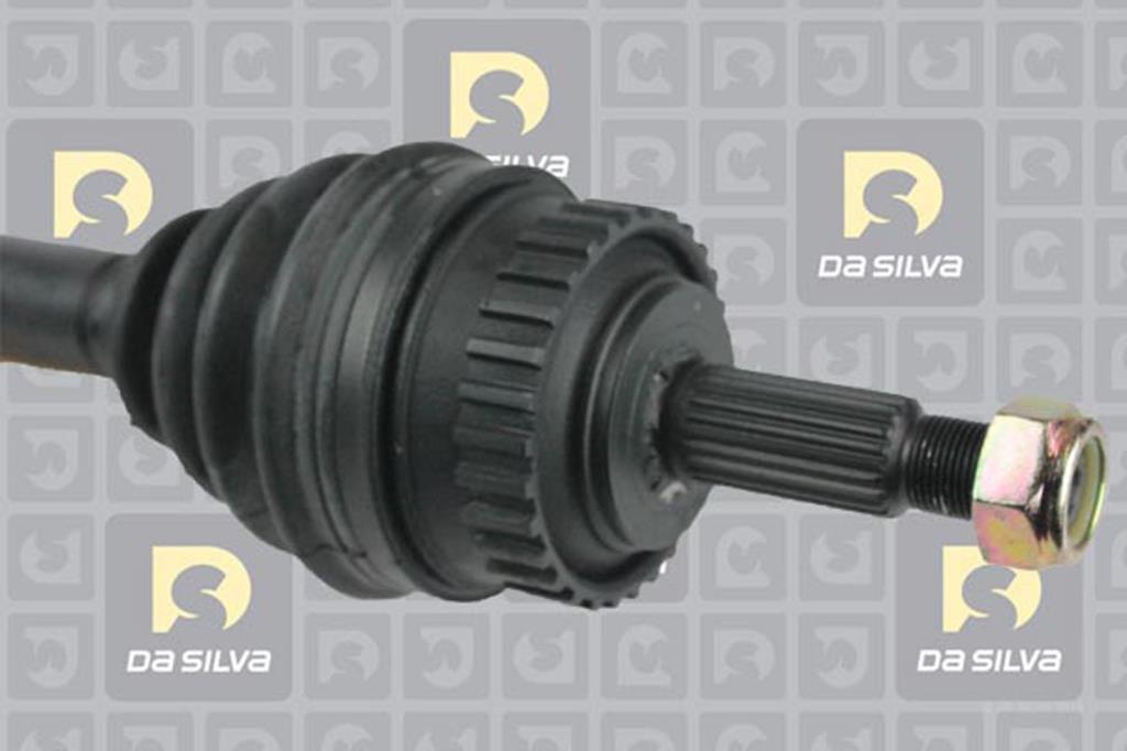 Cardã DA SILVA S.A.S. 4456AT