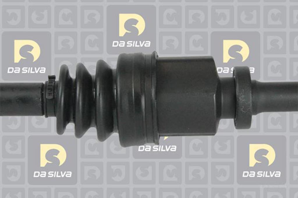 Cardã DA SILVA S.A.S. 4456AT
