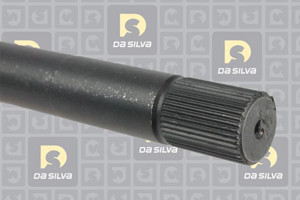 Cardã DA SILVA S.A.S. 4456AT