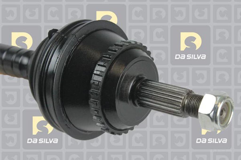 Cardã DA SILVA S.A.S. 4489AT