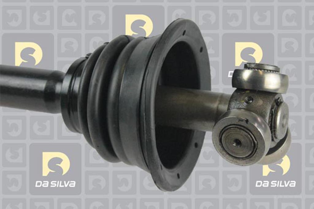 Cardã DA SILVA S.A.S. 4489AT