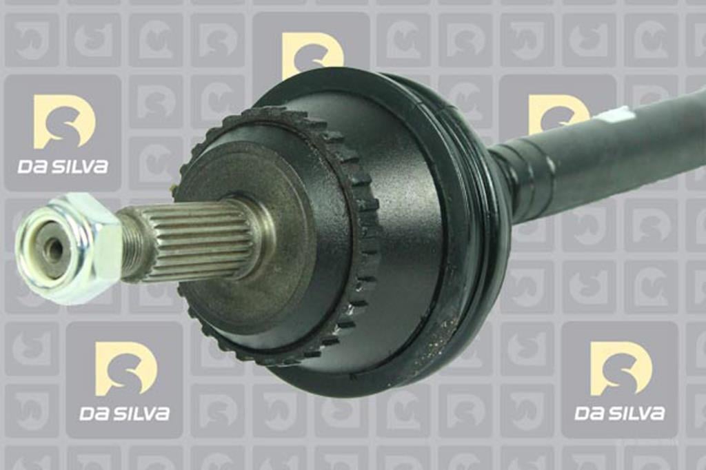 Cardã DA SILVA S.A.S. 4489ATBIS