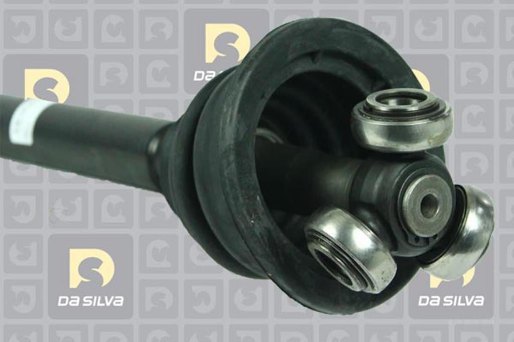 Cardã DA SILVA S.A.S. 4489ATBIS