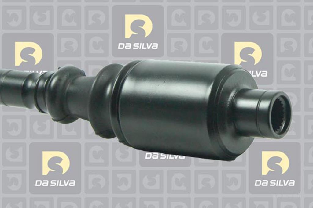 Cardã DA SILVA S.A.S. 4536AT2