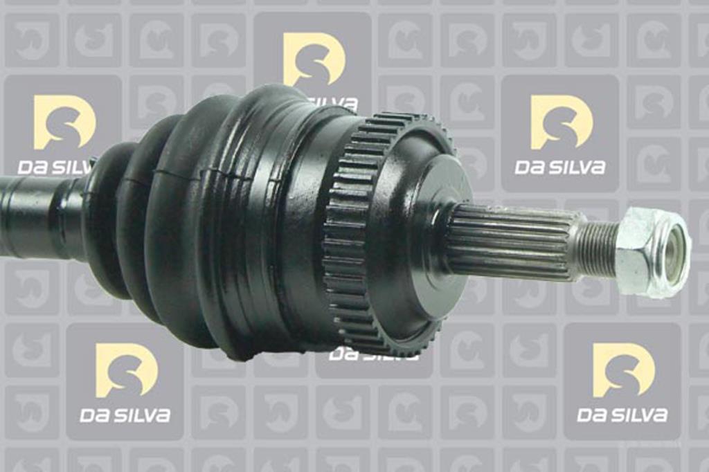 Cardã DA SILVA S.A.S. 4536AT2