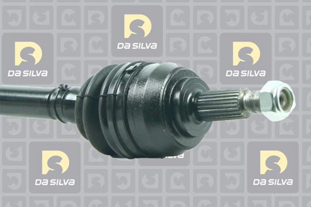 Cardã DA SILVA S.A.S. 4612T