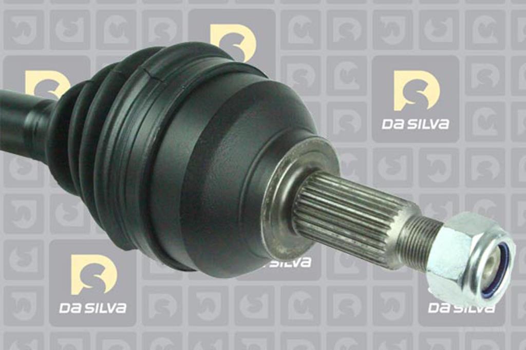 Cardã DA SILVA S.A.S. 4630T