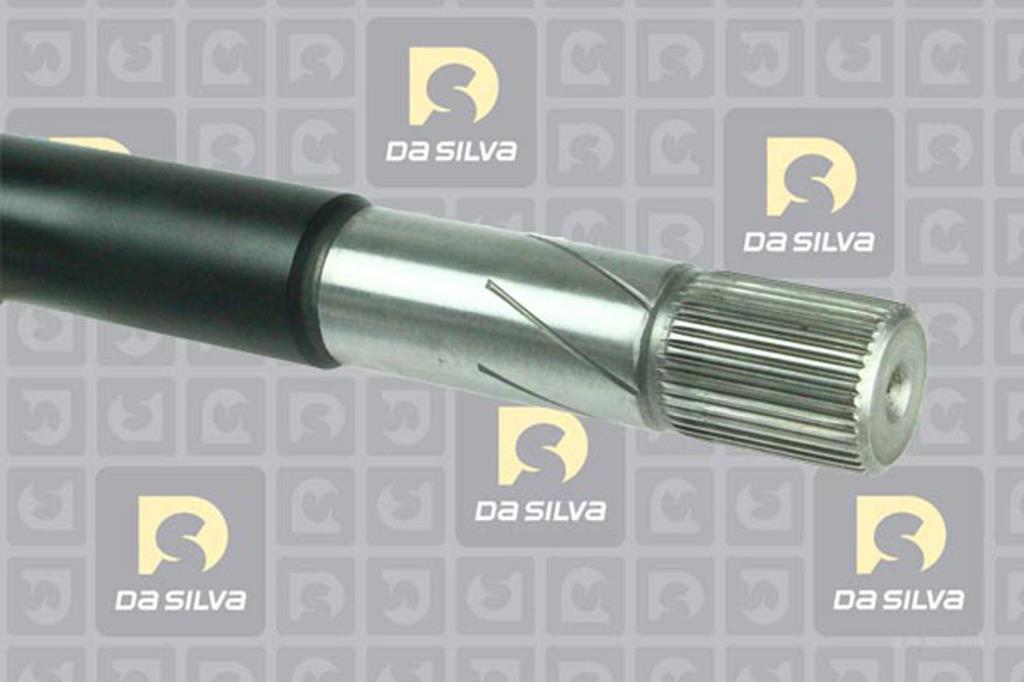 Cardã DA SILVA S.A.S. 4630T