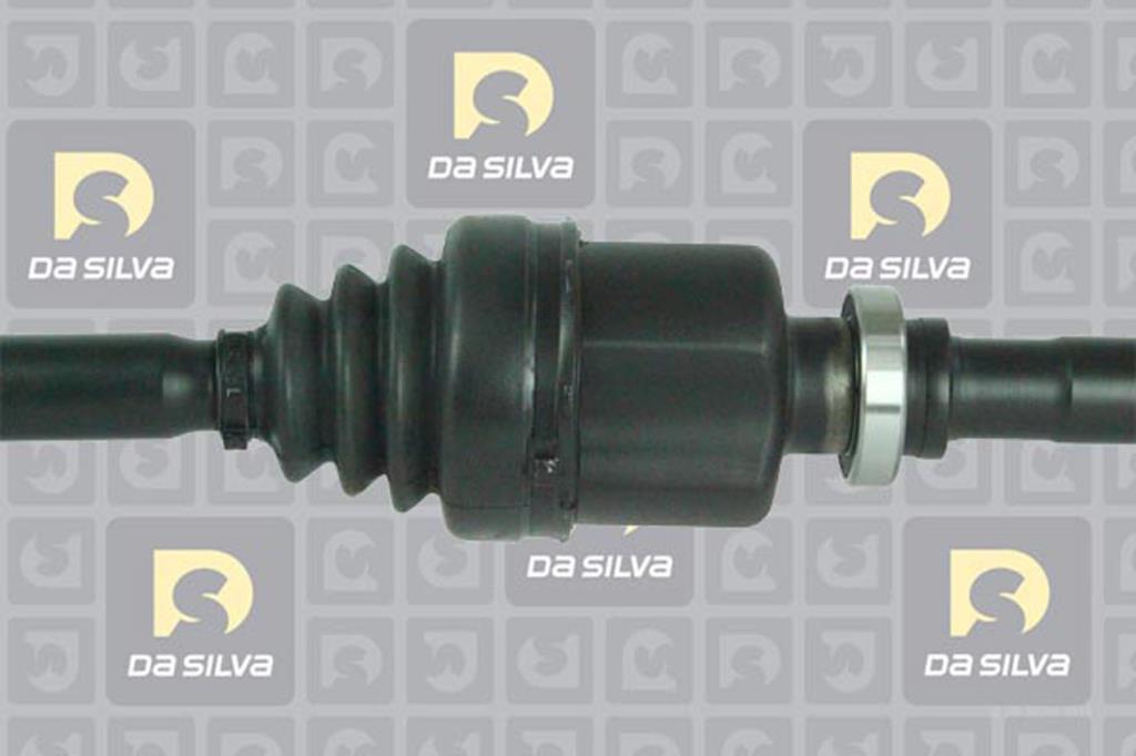 Cardã DA SILVA S.A.S. 4630T