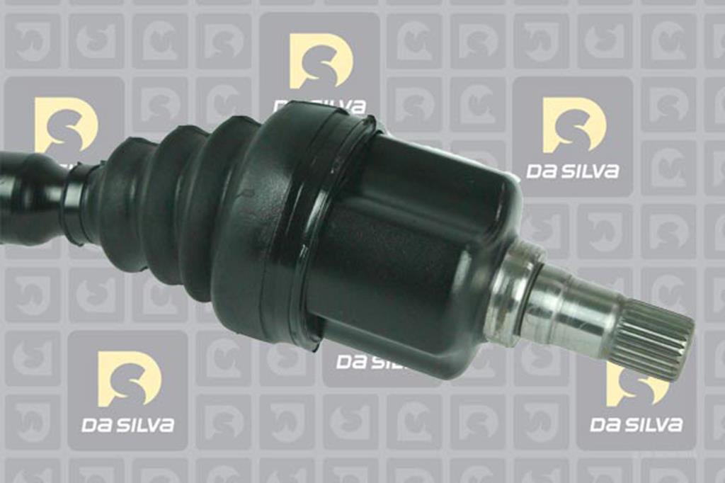 Cardã DA SILVA S.A.S. 4635T