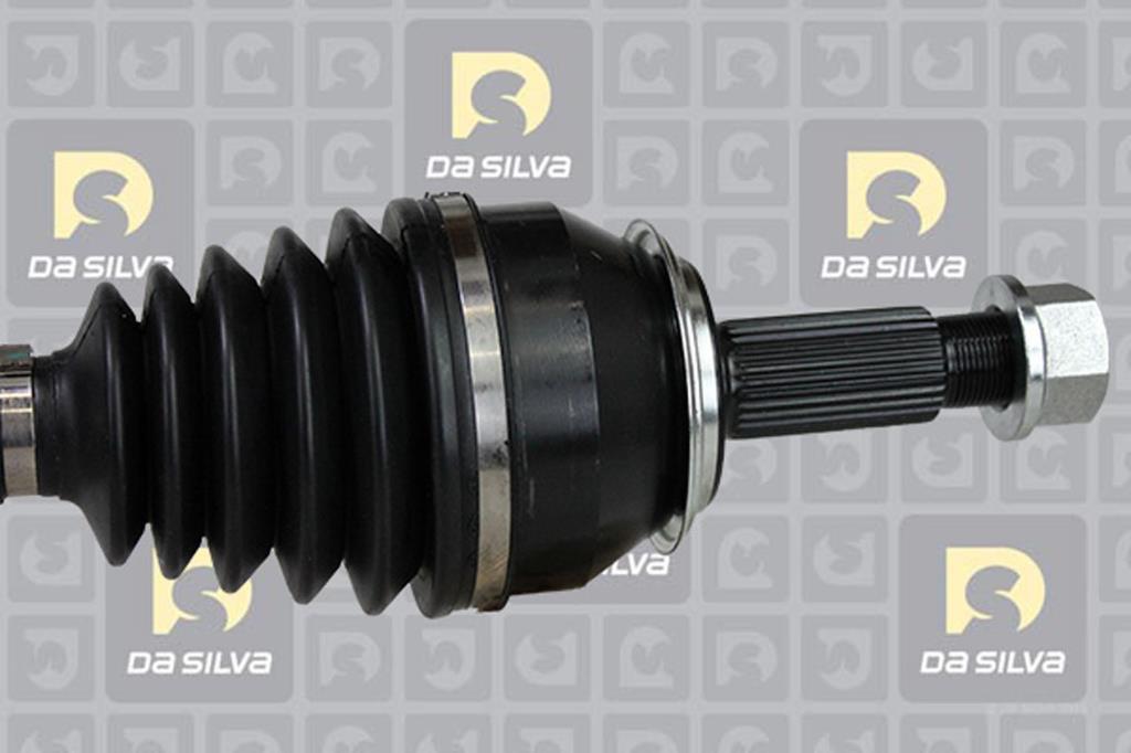 Cardã DA SILVA S.A.S. 4636T