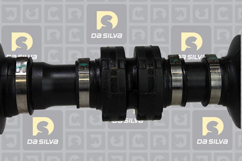 Cardã DA SILVA S.A.S. 4636T
