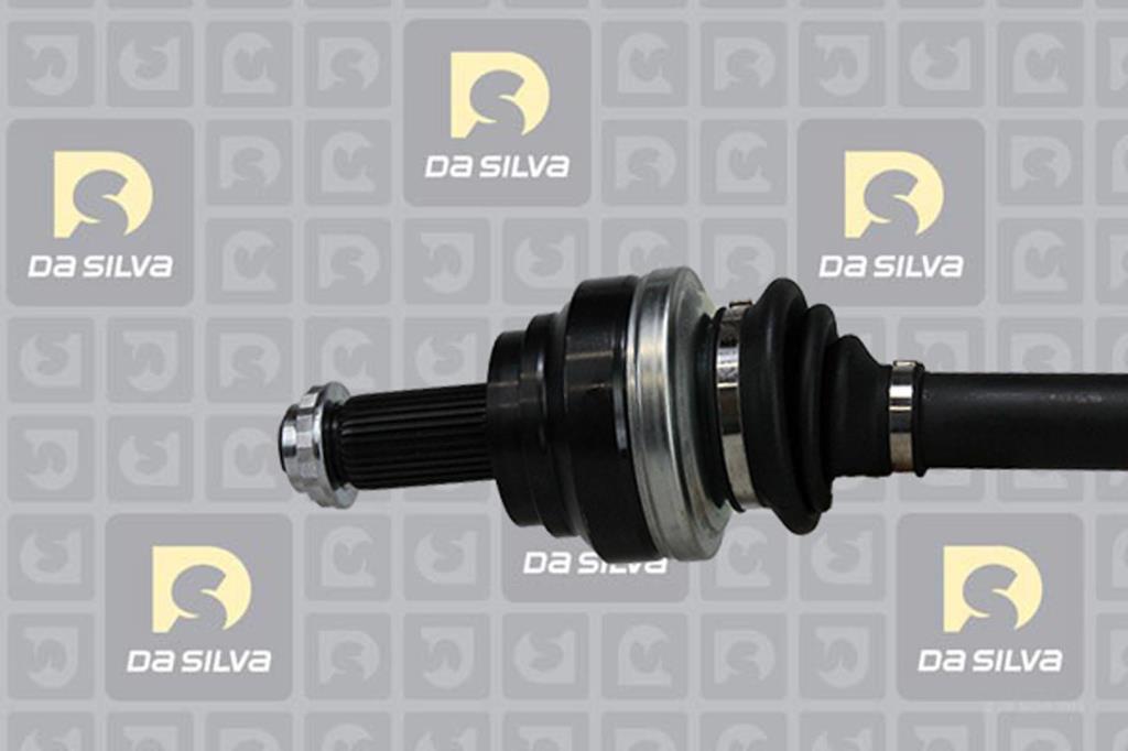 Cardã DA SILVA S.A.S. 4731T
