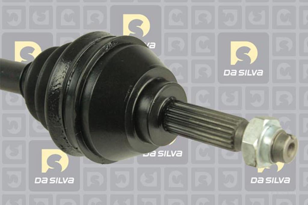 Cardã DA SILVA S.A.S. 5153T