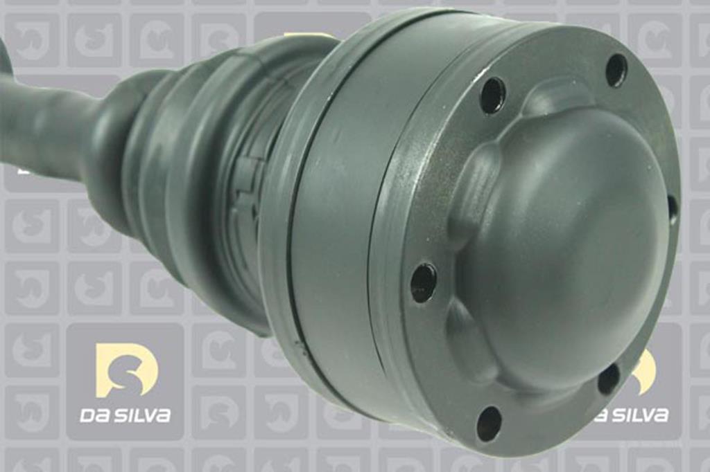Cardã DA SILVA S.A.S. 5187AT